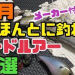 【10月バス釣り】おすすめハードルアー10選‼️