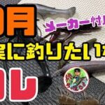 【バス釣り】10月のおすすめソフトルアー10選‼️