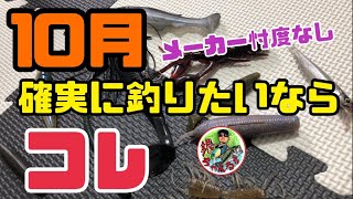 【バス釣り】10月のおすすめソフトルアー10選‼️