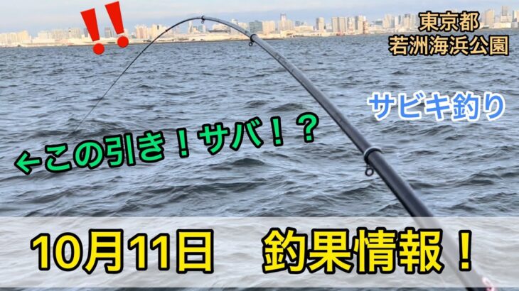 【サバ！？】10月11日釣果情報　東京都若洲海浜公園釣り施設　サビキ釣り