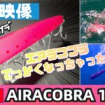 【水中映像】新発売！エアラコブラ160！通称デカコブラ！これで秋のビッグベイトシーバス釣りまくりましょ！【アイマ】【シーバス】