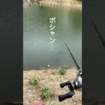 バス釣りしてて1番萎えるやつww