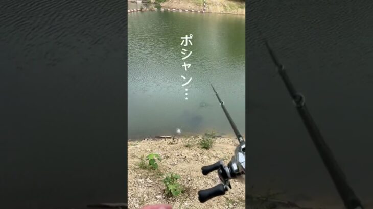 バス釣りしてて1番萎えるやつww