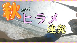 いわき市釣り #サーフヒラメ 初の連発 サーフ2年生