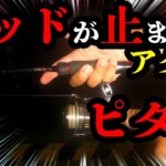 エギング【ベテランは知っているアタリのとりかた。初心者でもアタリがとれます】2022 10月 エギング