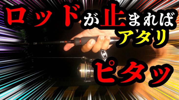 エギング【ベテランは知っているアタリのとりかた。初心者でもアタリがとれます】2022 10月 エギング