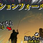 エギング【知っていますか？テンションかけると釣れなくなる罠があることを】2022 10月