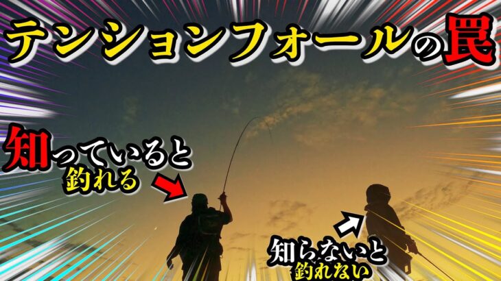 エギング【知っていますか？テンションかけると釣れなくなる罠があることを】2022 10月