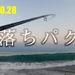 2022.10.28  サーフでヒラメ落ちパクがそこにはあった。