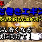 【2022年秋イカエギング＃08】深場で良型連発！当たりを逃さない２通りの釣り方で、これから渋くなる終盤戦を乗り切る！ただ巻きエギング