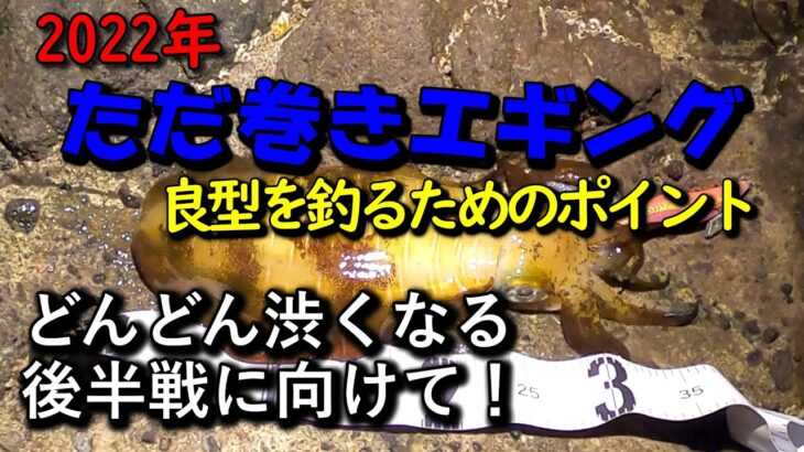 【2022年秋イカエギング＃08】深場で良型連発！当たりを逃さない２通りの釣り方で、これから渋くなる終盤戦を乗り切る！ただ巻きエギング