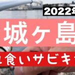 【2022年10月中旬!城ヶ島！入れ食いサビキ釣り！】#釣り #城ヶ島 #サビキ釣り