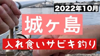 【2022年10月中旬!城ヶ島！入れ食いサビキ釣り！】#釣り #城ヶ島 #サビキ釣り