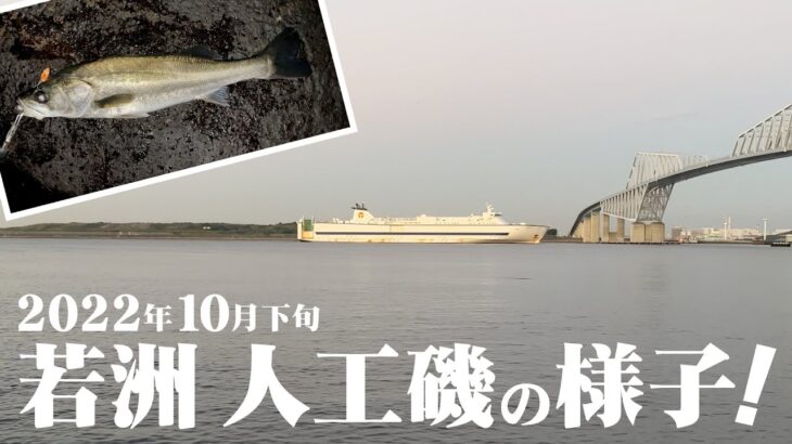 【シーバス】若洲海浜公園 人工磯でいろんなルアーでシーバスを狙ってみました！ 2022年10月の様子！