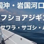 岩国沖・岩国河口付近でオフショアジギング　ブレードジグでハマチ・サワラ釣り　2022年10月2日