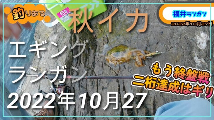 【2022年10月27日 釣りある】 秋イカ エギング ランガン その3　ｼｰｽﾞﾝ終盤　11月は二桁釣果達成はギリな状況　in福井