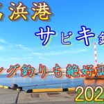 2022年秋福島県小名浜港2号ふ頭でアジの数釣りが楽しめます【サビキ釣り/アジング】