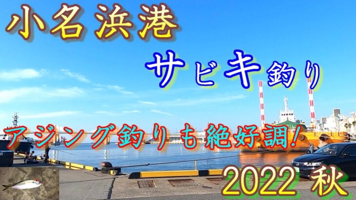 2022年秋福島県小名浜港2号ふ頭でアジの数釣りが楽しめます【サビキ釣り/アジング】