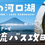 【河口湖バス釣り】2022年秋〜放流バスをオカッパリで攻略〜ポークルアーで40cmクラスのブラックバス連発！