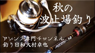 【釣り】メバリングからアジングへ2022年第三の選択New Gameはこれ！