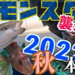 【スロージギング】秋の五目釣りが楽しい！モンスター級の根魚登場！狙うは20kgのイシナギ