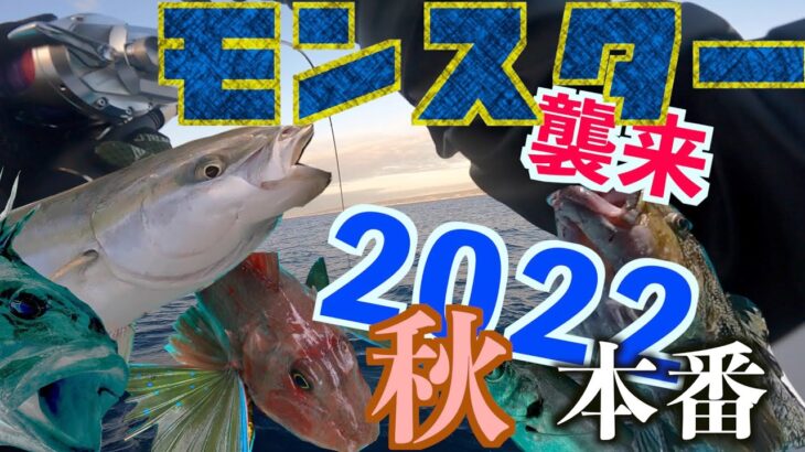 【スロージギング】秋の五目釣りが楽しい！モンスター級の根魚登場！狙うは20kgのイシナギ