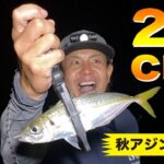 【秋アジング開幕!! 25cmが釣れ出した！】SOTvol,164