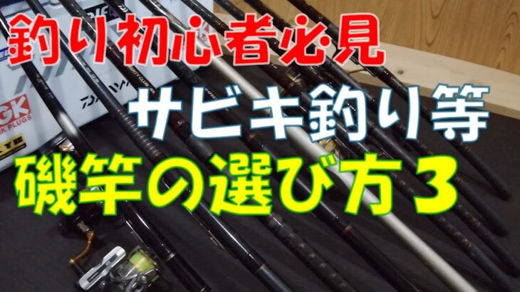 【釣り初心者必見】サビキ釣り等磯竿の選び方3