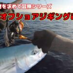 今からどんどん美味しくなる魚を求めて！【オフショアジギング#3】