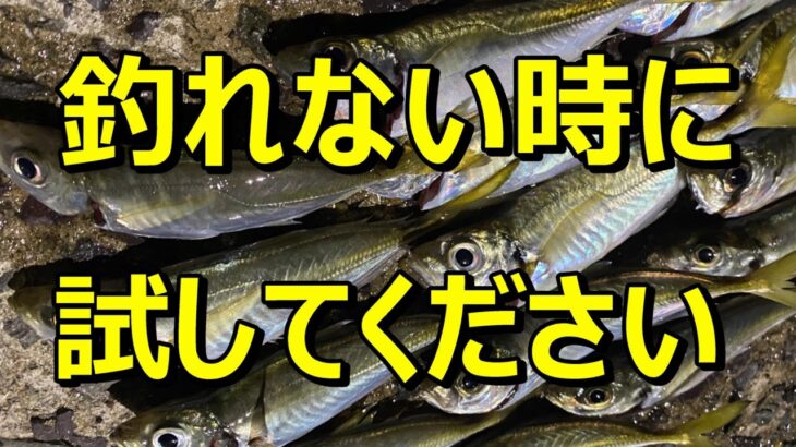 魚がいない？ちょっと待って！仕掛けを変えるだけで爆釣しますよ♪【50釣目】 Tips for when you can’t catch fish　【サビキ釣り】【アジ】