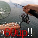 【琵琶湖バス釣り】ついに来たか!?夢の60UP…？