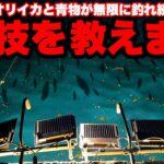 【衝撃】アオリイカと青物が入れ食い状態‥大変な事になりました。このエサ、98％釣れます。エギングもいいけど大型を手っ取り早く釣るにはこの仕掛け。10月はアジュール舞子がアツい！！！笑