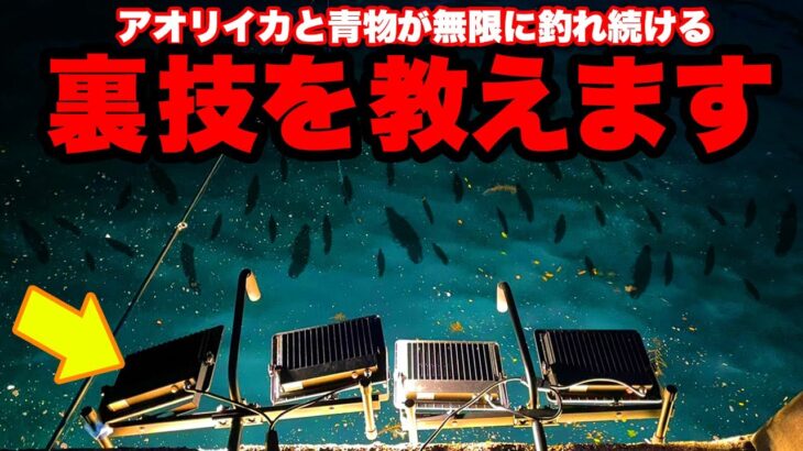 【衝撃】アオリイカと青物が入れ食い状態‥大変な事になりました。このエサ、98％釣れます。エギングもいいけど大型を手っ取り早く釣るにはこの仕掛け。10月はアジュール舞子がアツい！！！笑