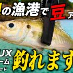 【アジング】島根県の漁港で釣り【CORTO UX,シラスビーム,小悪魔ジグヘッド】