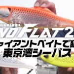 【シーバス】ビッグベイトパターンでランカーシーバスを狙え【FISHING DOOR】