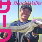 遠州灘でサーフゲーム！～静岡県掛川サーフ～【Fishing Lover 東海】