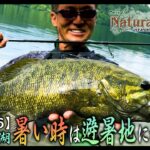 【Natural Tripper Season2】TRIP6 夏の桧原湖 暑い時は避暑地にかぎるで！【issei × 釣りビジョン】