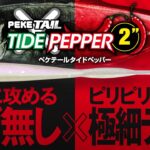 【アジングPV】リブ無しだから可能な繊細な攻め/ペケテールタイドペッパー2″/PEKETAIL TIDEPEPPER 2″