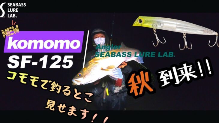 【秋シーバス釣行】新しいコモモSF-125でハイシーズンの河川ウェーディングナイトゲーム！【アイマ】【komomo SF-125】