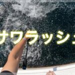 【SLJ】サワラ連発！ スーパーライトジギング  瀬戸内  SLJ