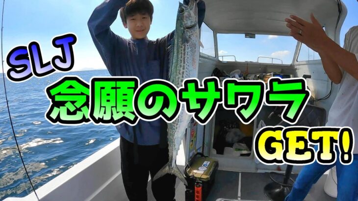 【SLJ】広島・岩国沖スーパーライトジギング🎣サワラがめっちゃアタるんですが⁉️ライズジグフラット‼️Get the long-awaited Spanish mackerel🎊🎊🎊