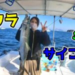 【SLJ】岩国沖スーパーライトジギング！ライズジャパンのライズジグフラットで、サワラ＆青物を狙う！Spanish mackerel fishing🎣🎊