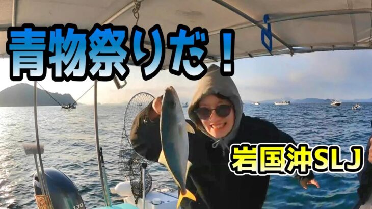 【SLJ】岩国沖スーパーライトジギング🎣シーズン到来！青物祭り⁉️yellowtail fishing🎣🎊✨☀️