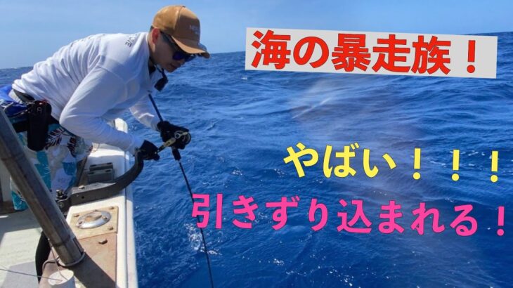 【ジギング】マグロ？カンパチ？いや、イソマグロ！！！マグロだけどマグロじゃない！【沖縄 与那国島 太郎丸】Slow Jigging Amberjack Jigging