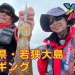 福井県・若狭大島　筏エギング（ソルパラTV・第105回2022年9月29日放送）