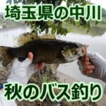 東京ルアー釣り、中川 ブラックバス 埼玉県吉川市 (Tokyo Lure Fishing, Bass, 黑鱸)