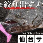 【サーフ ヒラメ】ハイシーズン突入！サーフのスペシャリストが良型ヒラメの釣り方を教えます！ / 仙台サーフ / USHIO岸 / 伊賀拓実