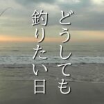 またまた釣ってきました Vol 128 【サーフフィッシング】【ショアジギング】【ヒラメ釣り】