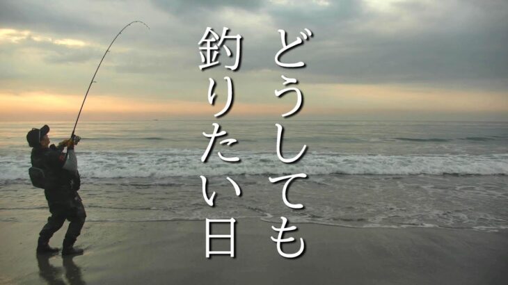 またまた釣ってきました Vol 128 【サーフフィッシング】【ショアジギング】【ヒラメ釣り】