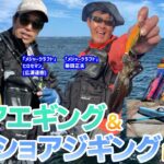 【釣り時季】沖磯でショアエギング&ショアジギングin長崎